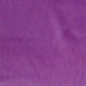 bright-purple