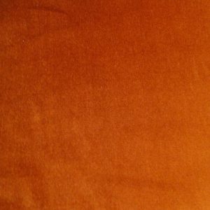 Nutmeg cotton velvet