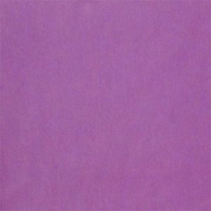 Vatican Purple